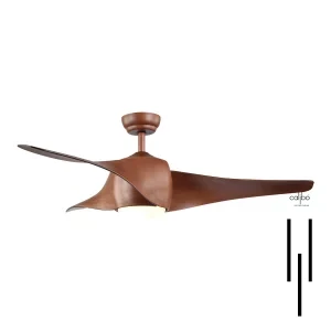 Cherra Fan