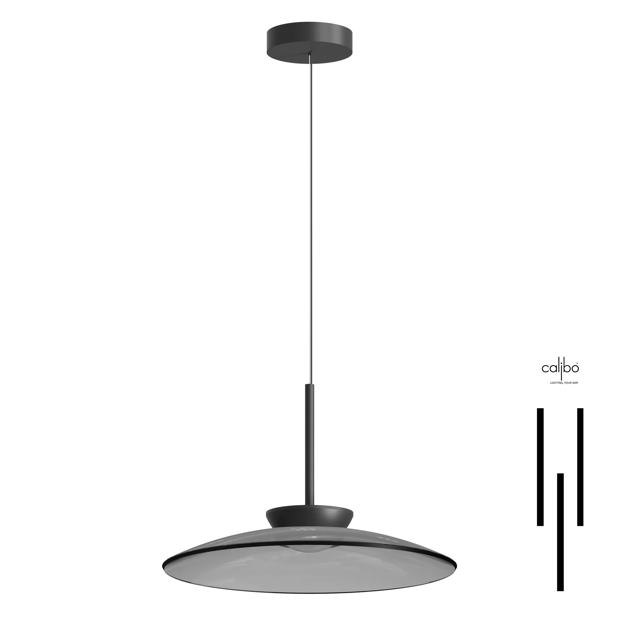 Coinora Pendant