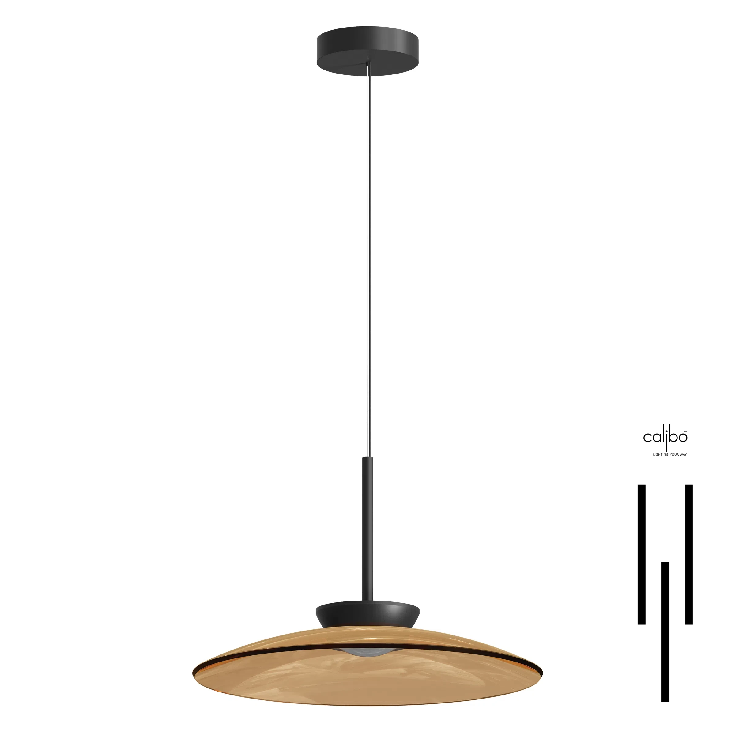 Coinora Pendant