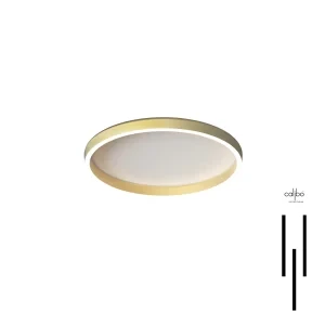 Disc Ceiling