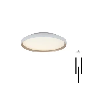 Duo Ceiling