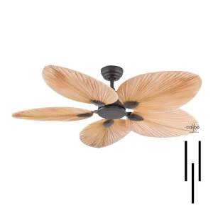 Kova Fan