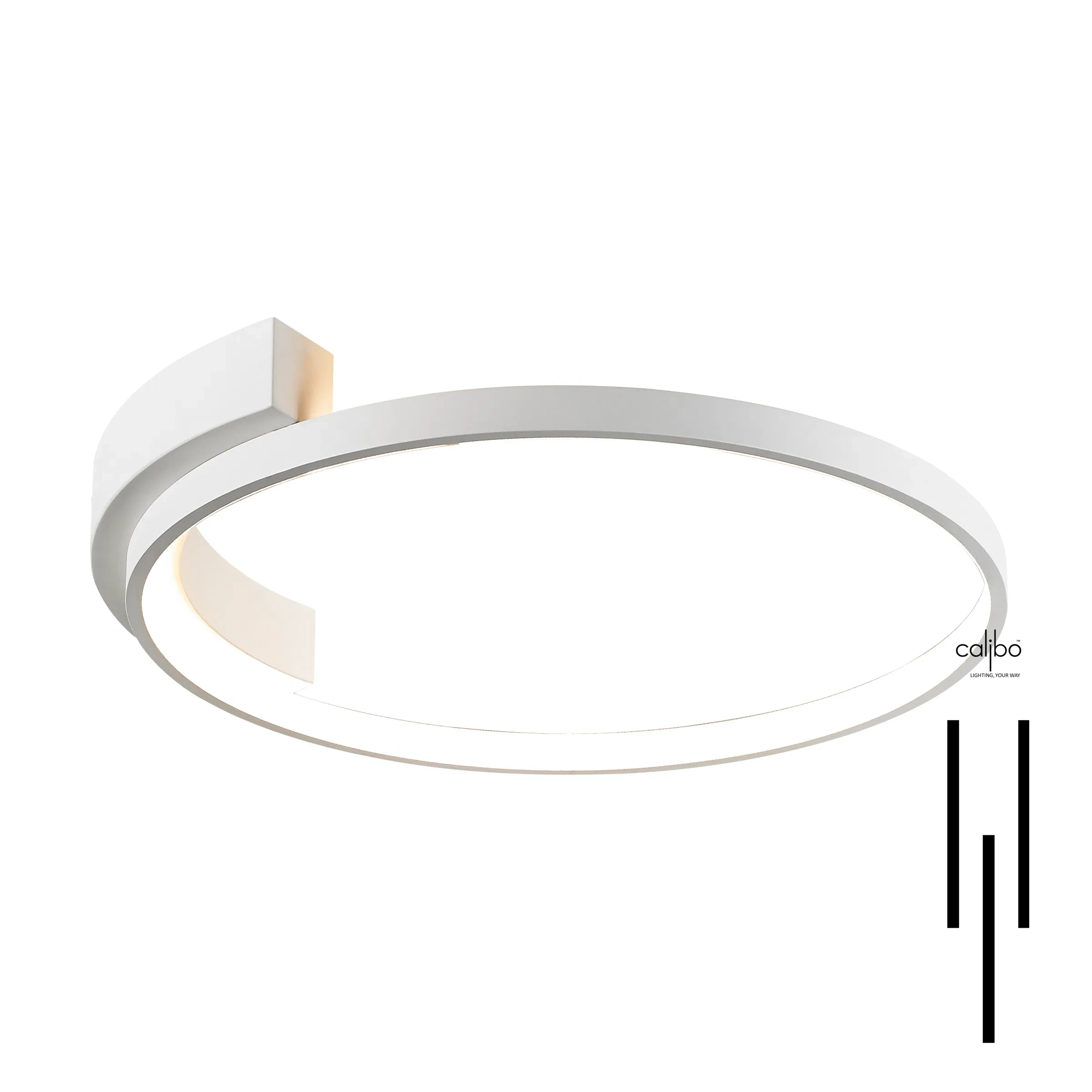 Oryniro Disc Ceiling