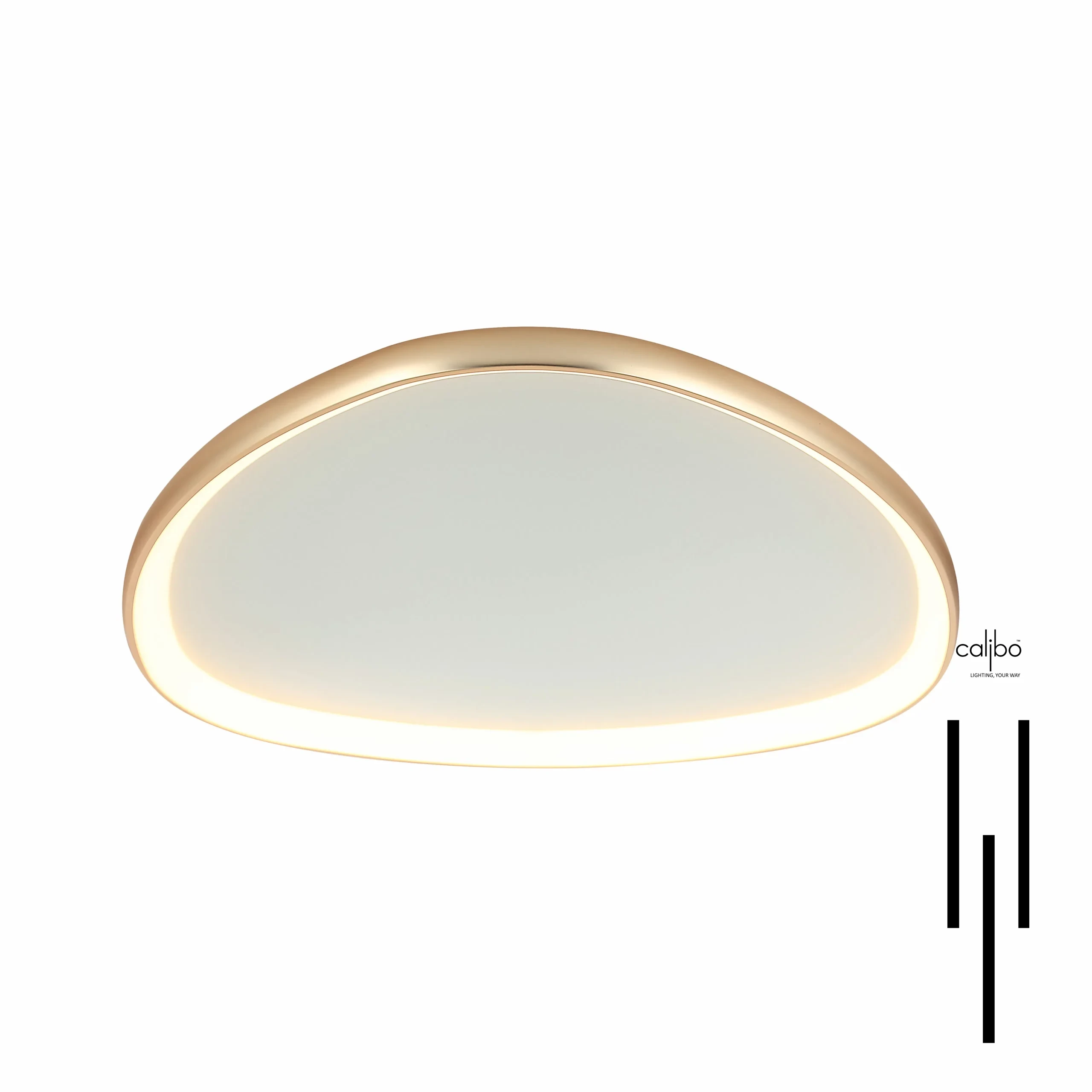 Quad Ceiling