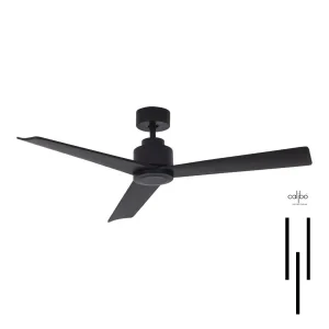 Vant Fan