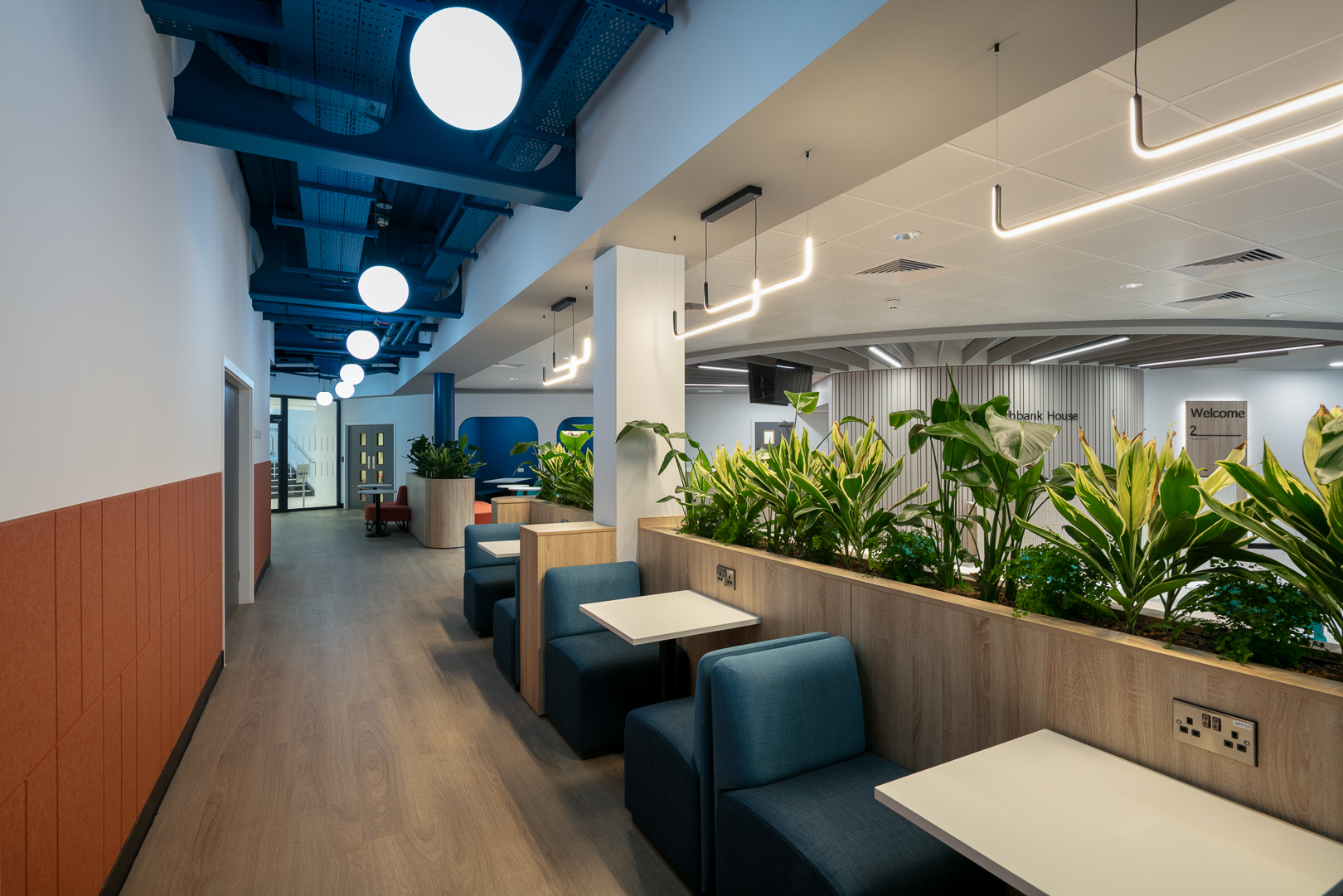 Northbank House reception with globe and shaped linear pendants