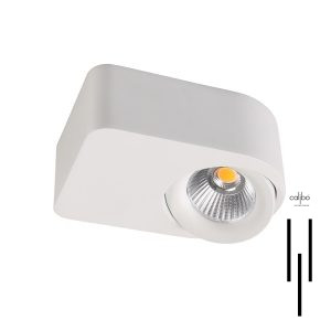 Zelis Ceiling