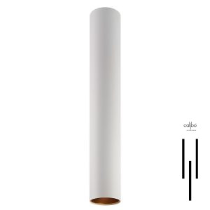 Fioine Ceiling