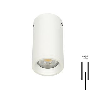 Renine Ceiling