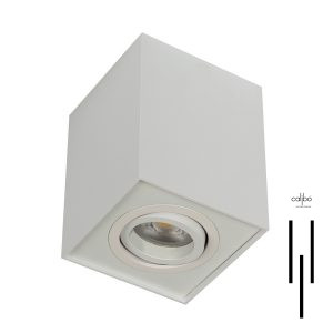 Havine Ceiling