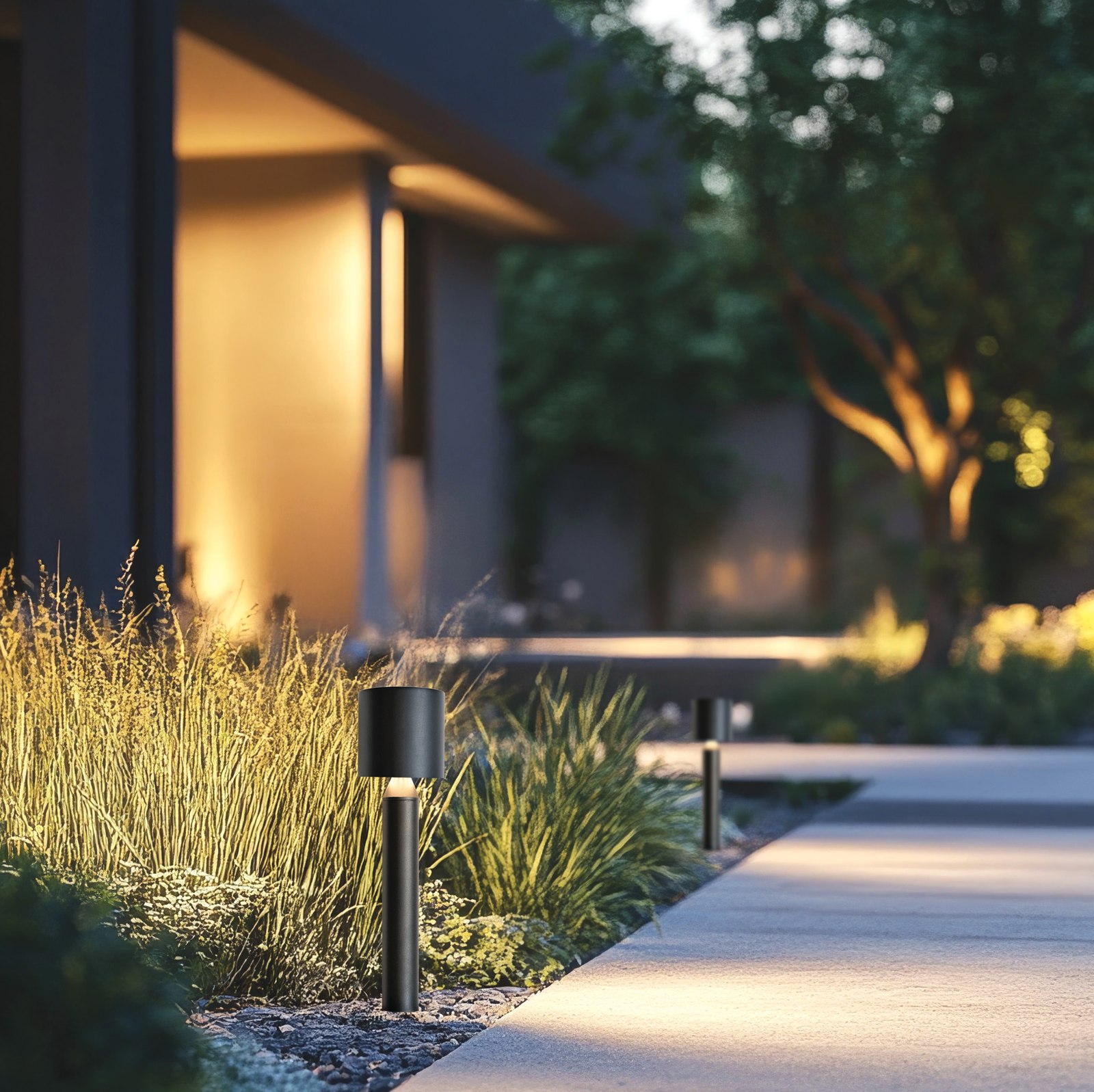 Teraron Floor — additional product view
